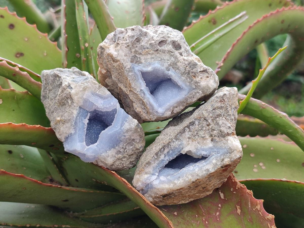 Natural Blue Lace Agate Geode Specimens x 12 From Nsanje, Malawi - Toprock Gemstones and Minerals 