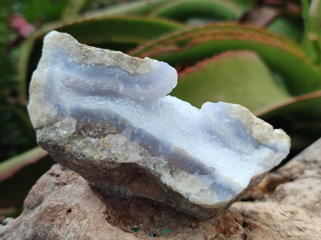 Natural Blue Lace Agate Geode Specimens x 12 From Nsanje, Malawi - Toprock Gemstones and Minerals 