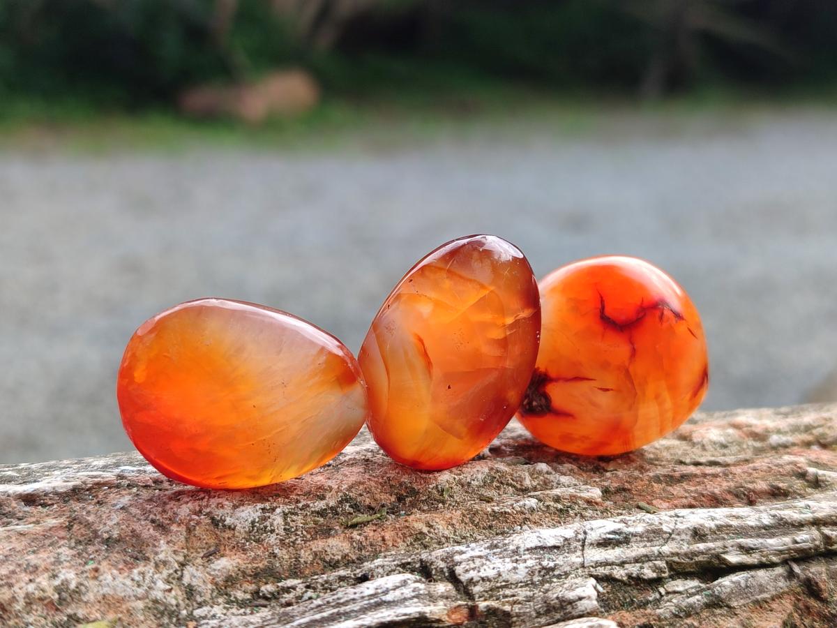 Polished Small Carnelian Agate Gemstone Free Forms x 70 From Madagascar - Toprock Gemstones and Minerals 
