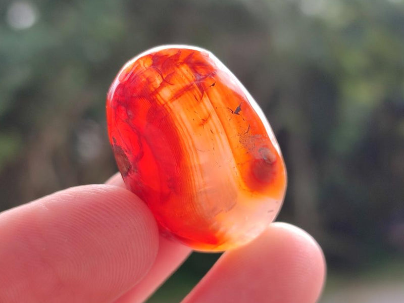 Polished Small Carnelian Agate Gemstone Free Forms x 70 From Madagascar - Toprock Gemstones and Minerals 