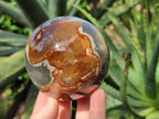 Polished Large Polychrome Jasper Spheres x 2 From NW Coast, Madagascar - Toprock Gemstones and Minerals 