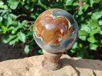 Polished Large Polychrome Jasper Spheres x 2 From NW Coast, Madagascar - Toprock Gemstones and Minerals 