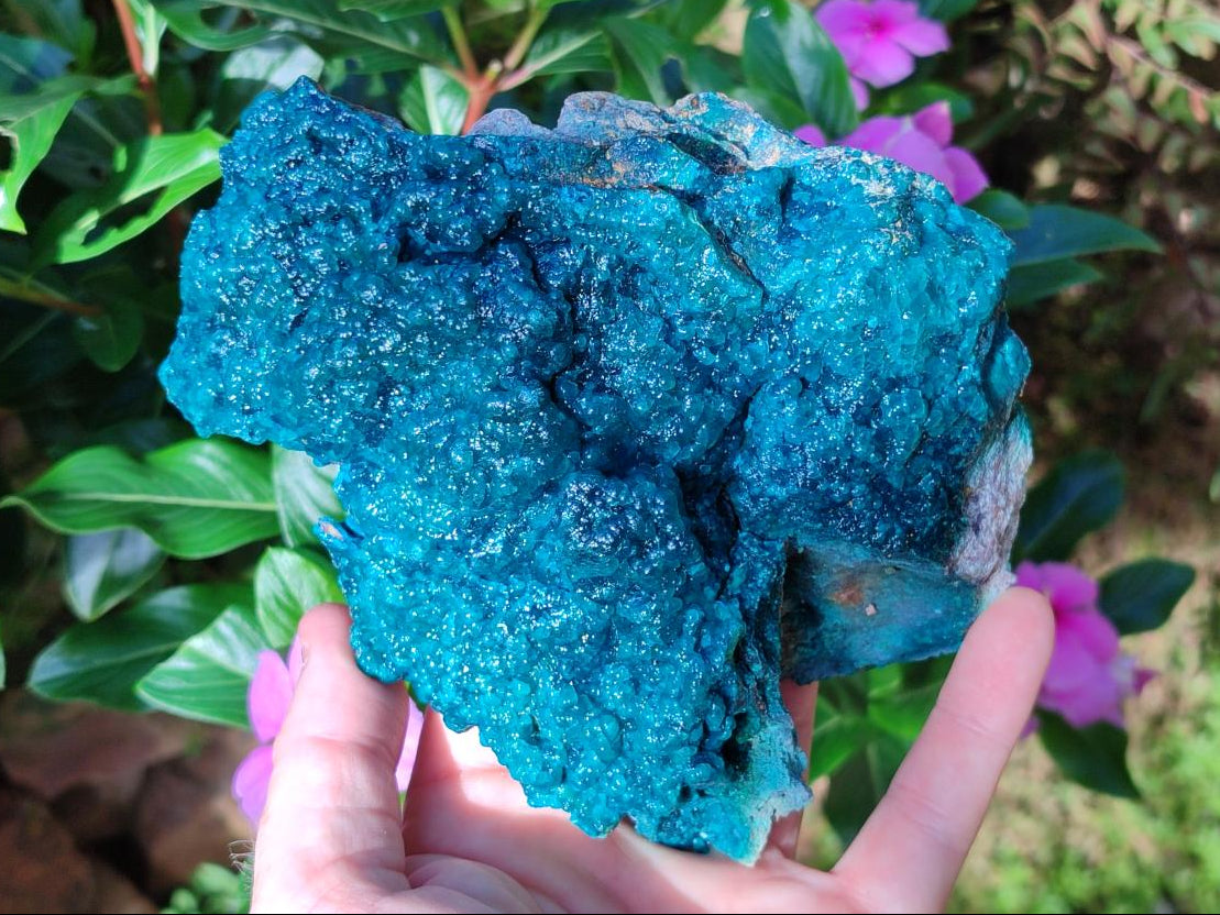 Natural Bright Blue Silica Chrysocolla Specimen x 1 From Kulukuluku, Congo - Toprock Gemstones and Minerals 
