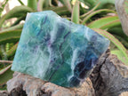 Polished On One Side Watermelon Fluorite Standing Display Pieces x 2 From Uis, Namibia - Toprock Gemstones and Minerals 