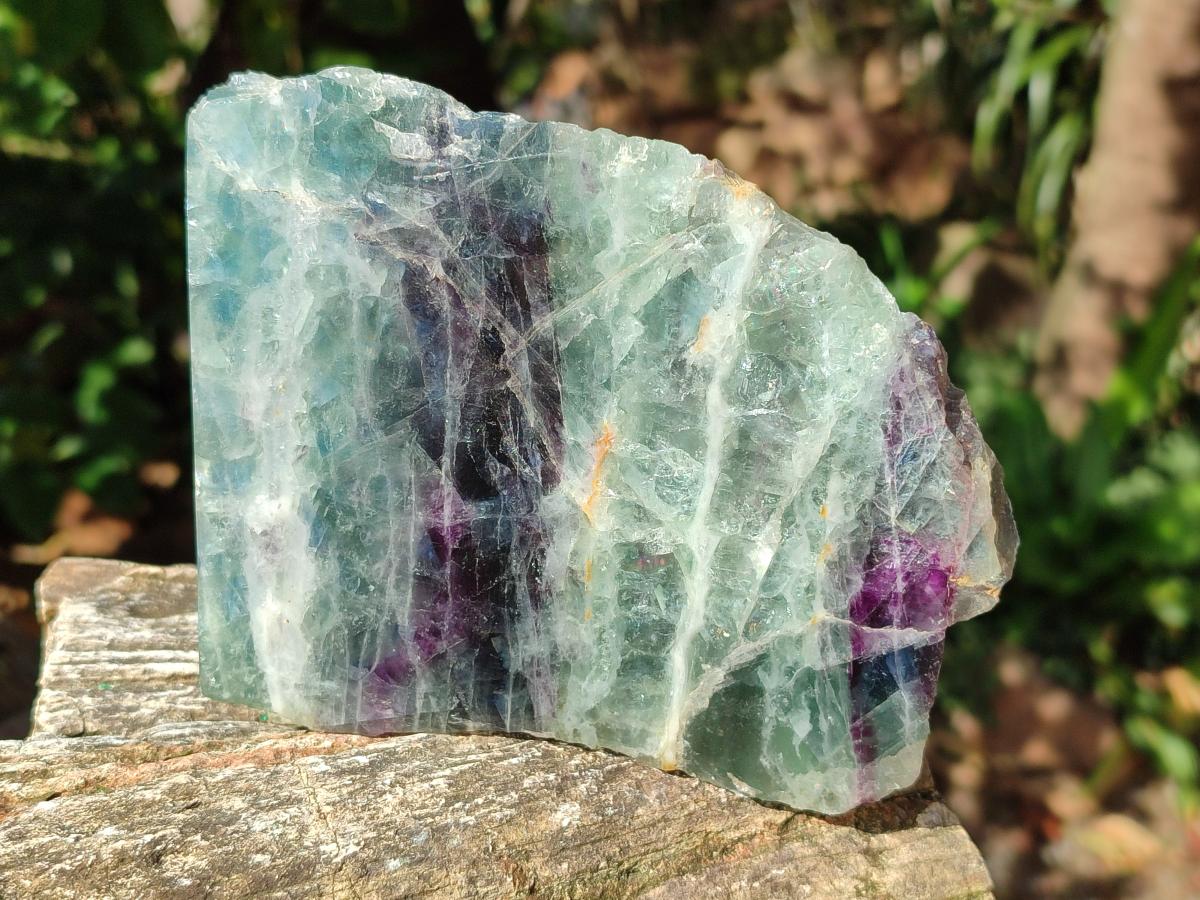 Polished On One Side Watermelon Fluorite Standing Display Pieces x 2 From Uis, Namibia - Toprock Gemstones and Minerals 