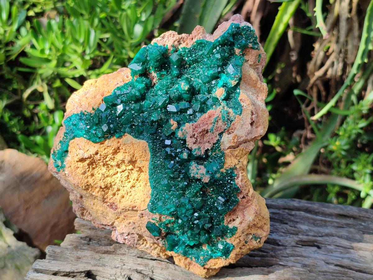 Natural XL Classic Dioptase on Dolomite Specimen x 1 From Likasi, Congo - Toprock Gemstones and Minerals 