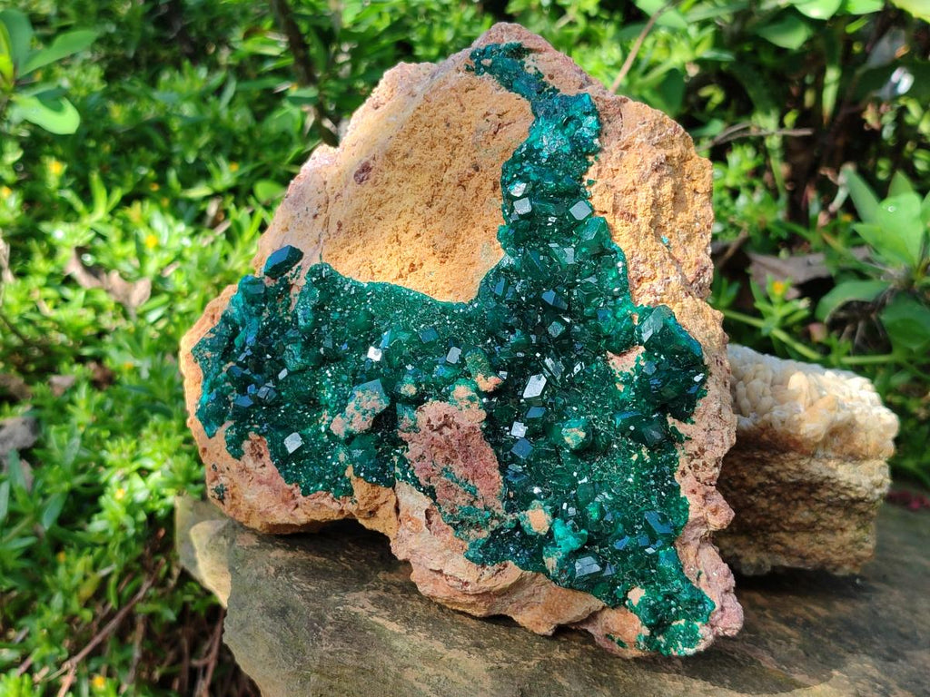 Natural XL Classic Dioptase on Dolomite Specimen x 1 From Likasi, Congo - Toprock Gemstones and Minerals 
