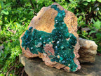 Natural XL Classic Dioptase on Dolomite Specimen x 1 From Likasi, Congo - Toprock Gemstones and Minerals 