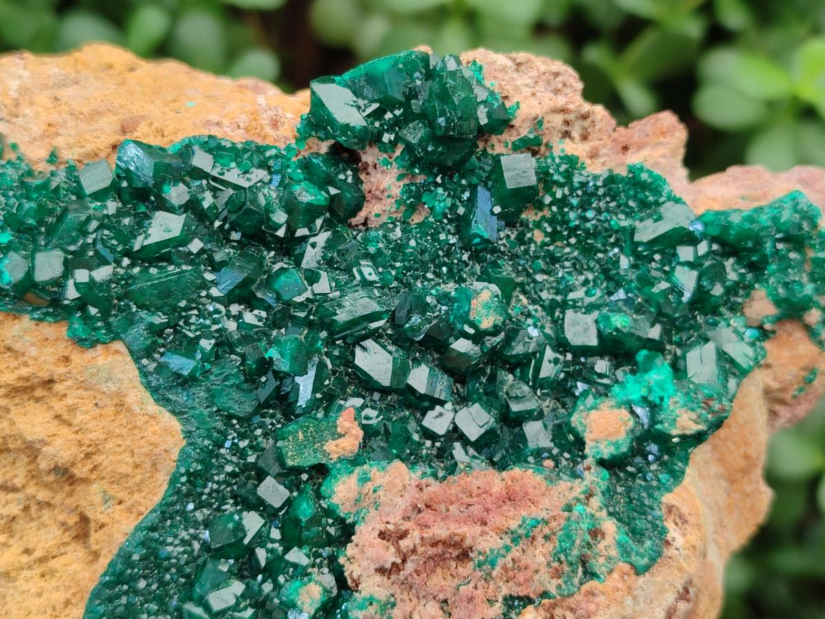 Natural XL Classic Dioptase on Dolomite Specimen x 1 From Likasi, Congo - Toprock Gemstones and Minerals 