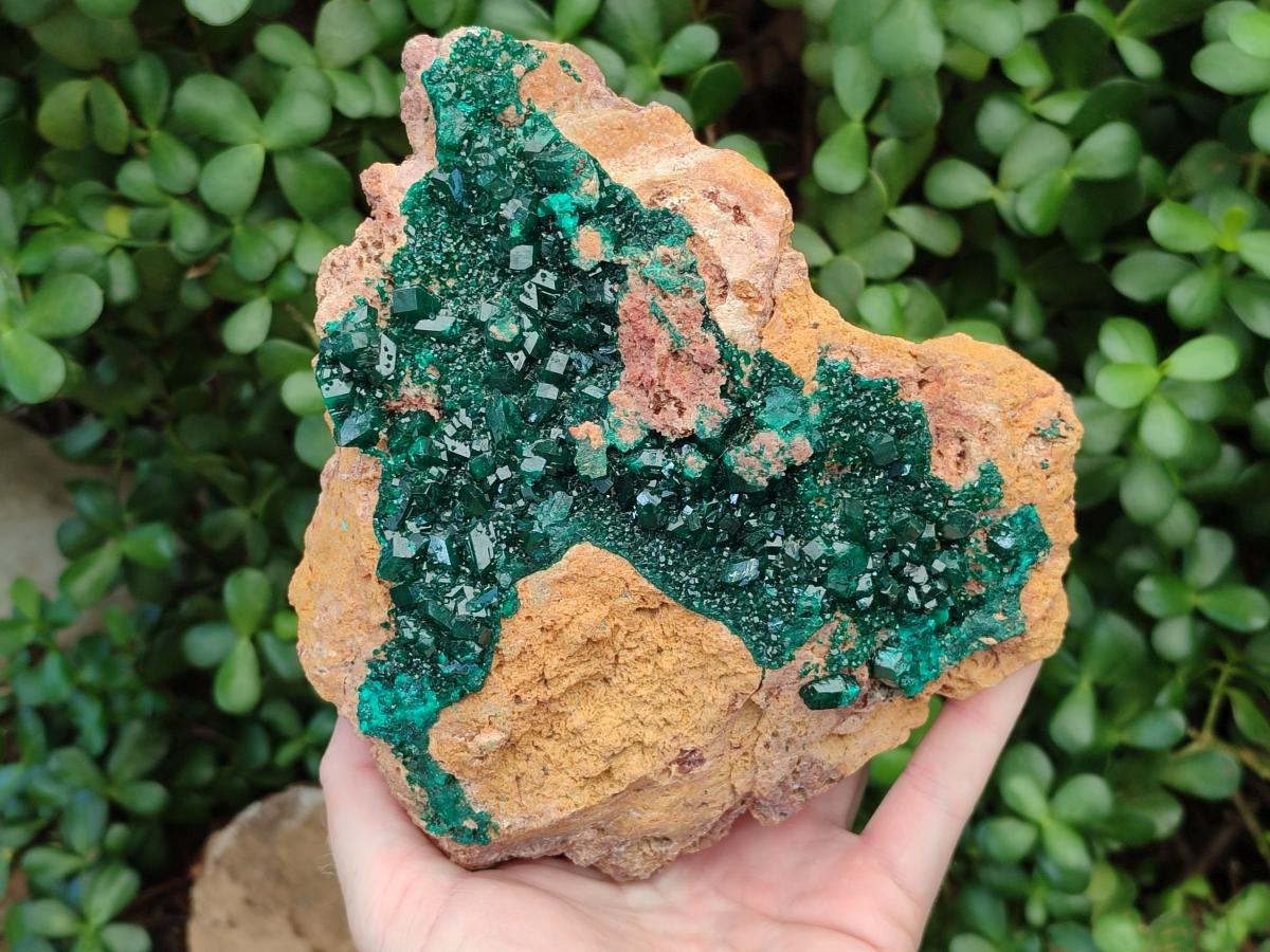 Natural XL Classic Dioptase on Dolomite Specimen x 1 From Likasi, Congo - Toprock Gemstones and Minerals 