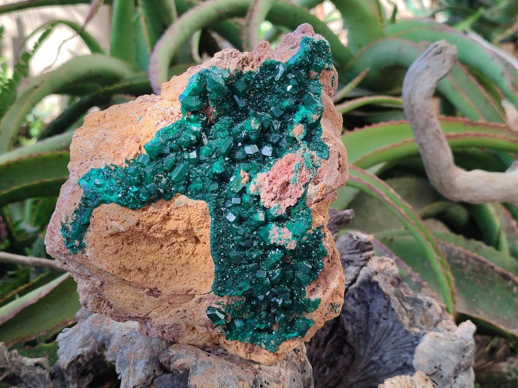Natural XL Classic Dioptase on Dolomite Specimen x 1 From Likasi, Congo - Toprock Gemstones and Minerals 