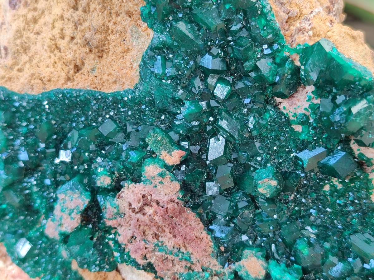 Natural XL Classic Dioptase on Dolomite Specimen x 1 From Likasi, Congo - Toprock Gemstones and Minerals 