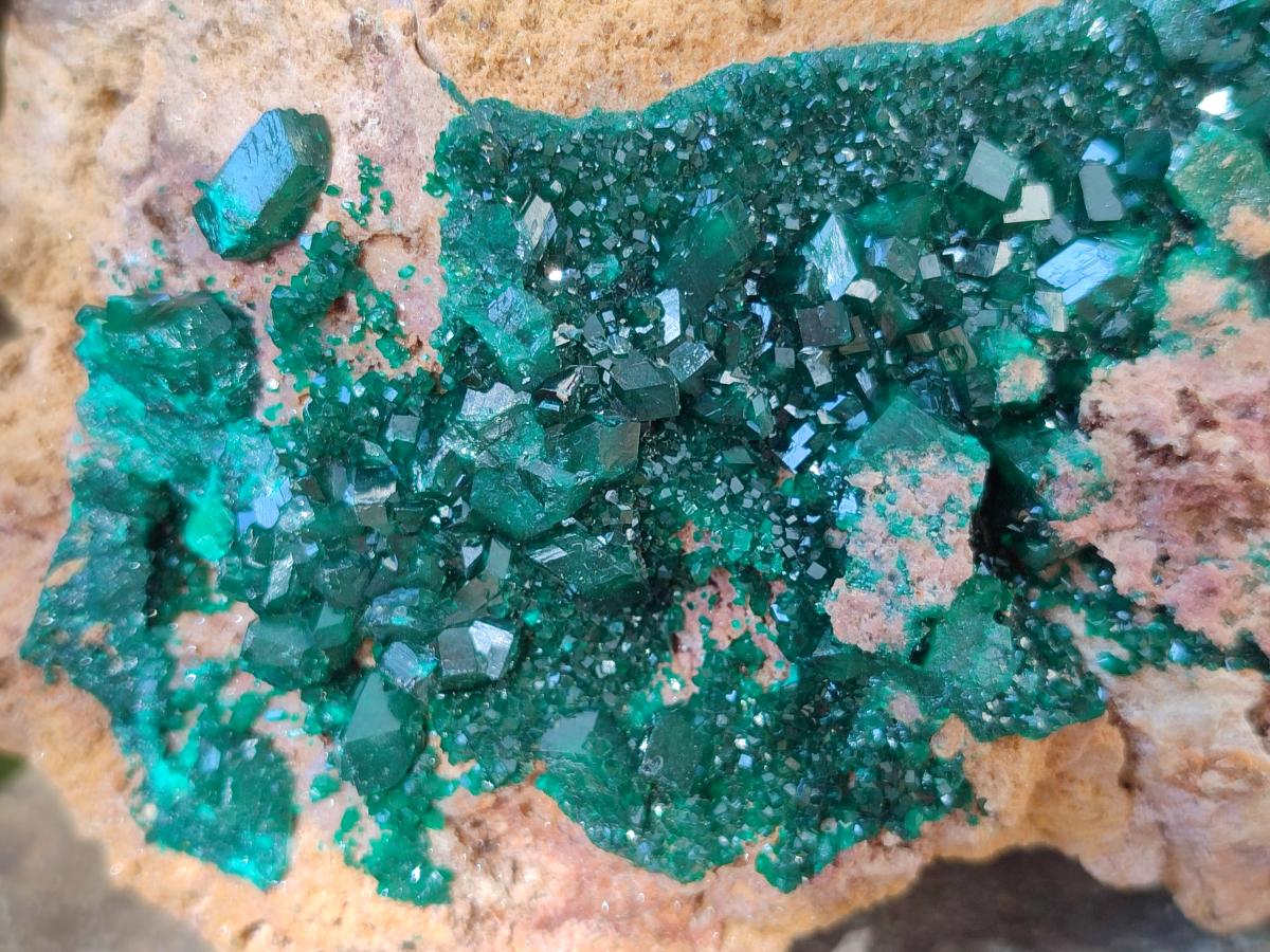 Natural XL Classic Dioptase on Dolomite Specimen x 1 From Likasi, Congo - Toprock Gemstones and Minerals 