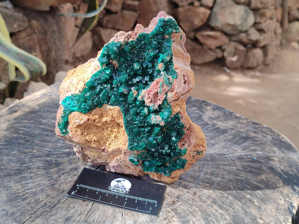Natural XL Classic Dioptase on Dolomite Specimen x 1 From Likasi, Congo - Toprock Gemstones and Minerals 