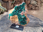 Natural XL Classic Dioptase on Dolomite Specimen x 1 From Likasi, Congo - Toprock Gemstones and Minerals 