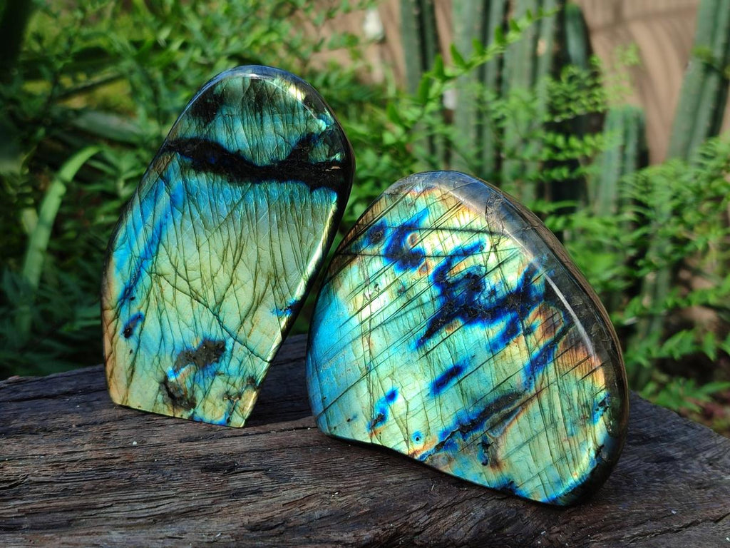 Polished Labradorite Standing Display Pieces x 4 From Madagascar - Toprock Gemstones and Minerals 