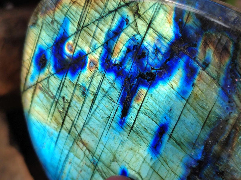 Polished Labradorite Standing Display Pieces x 4 From Madagascar - Toprock Gemstones and Minerals 