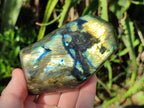 Polished Labradorite Standing Display Pieces x 4 From Madagascar - Toprock Gemstones and Minerals 