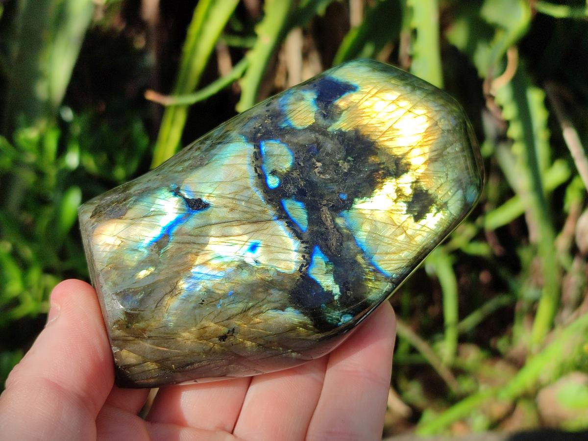 Polished Labradorite Standing Display Pieces x 4 From Madagascar - Toprock Gemstones and Minerals 