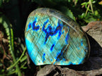 Polished Labradorite Standing Display Pieces x 4 From Madagascar - Toprock Gemstones and Minerals 