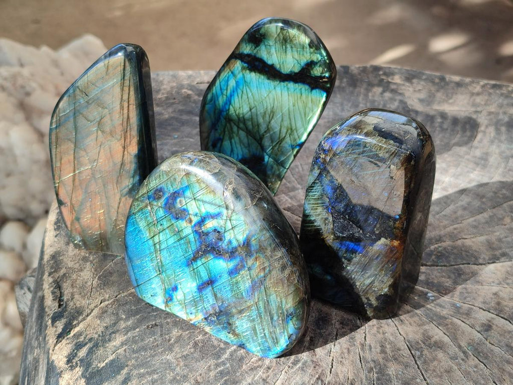 Polished Labradorite Standing Display Pieces x 4 From Madagascar - Toprock Gemstones and Minerals 