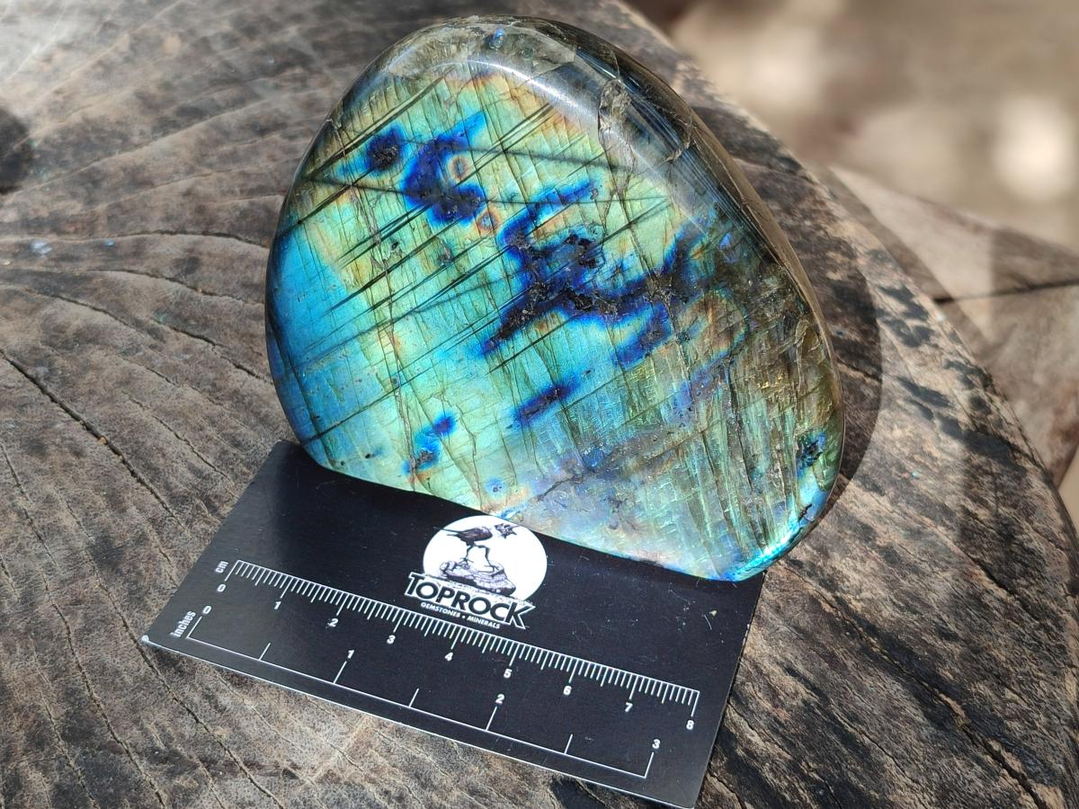 Polished Labradorite Standing Display Pieces x 4 From Madagascar - Toprock Gemstones and Minerals 