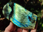 Polished Labradorite Standing Display Pieces x 4 From Madagascar - Toprock Gemstones and Minerals 