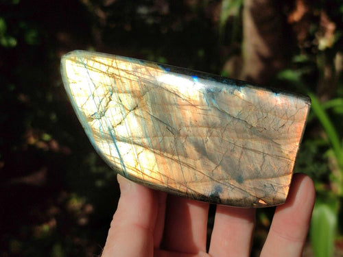 Polished Labradorite Standing Display Pieces x 4 From Madagascar - Toprock Gemstones and Minerals 
