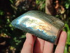 Polished Labradorite Standing Display Pieces x 4 From Madagascar - Toprock Gemstones and Minerals 