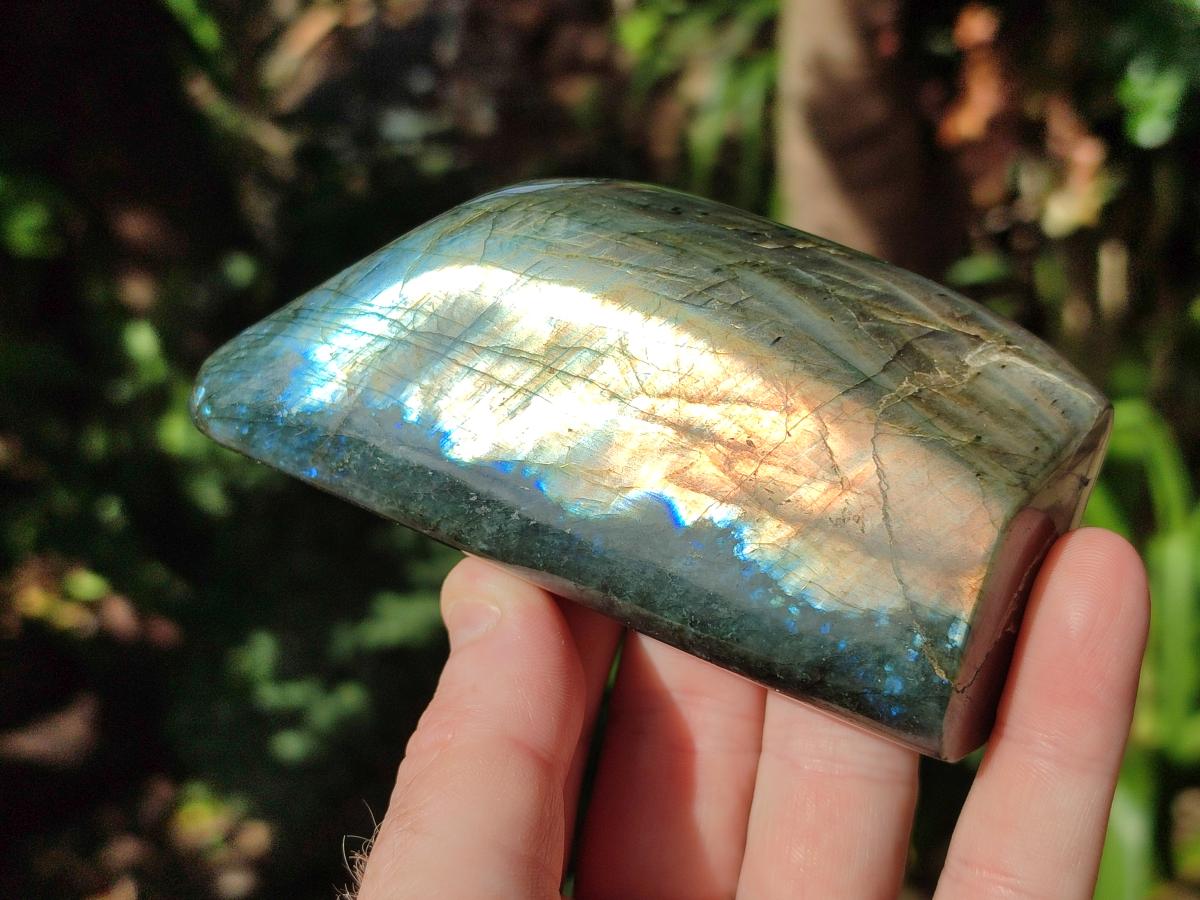 Polished Labradorite Standing Display Pieces x 4 From Madagascar - Toprock Gemstones and Minerals 