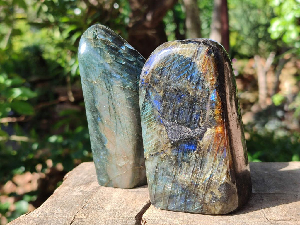 Polished Labradorite Standing Display Pieces x 4 From Madagascar - Toprock Gemstones and Minerals 