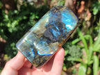 Polished Labradorite Standing Display Pieces x 4 From Madagascar - Toprock Gemstones and Minerals 