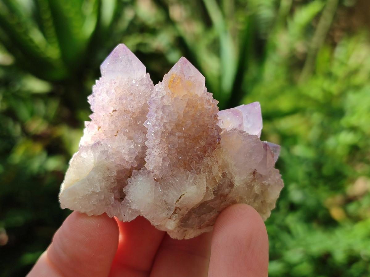 Natural Spirit Amethyst and Spirit Ametrine Clusters and Crystals x 12 From Boekenhouthoek, South Africa - Toprock Gemstones and Minerals 