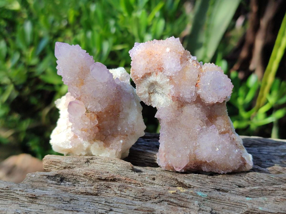 Natural Spirit Amethyst and Spirit Ametrine Clusters and Crystals x 12 From Boekenhouthoek, South Africa - Toprock Gemstones and Minerals 