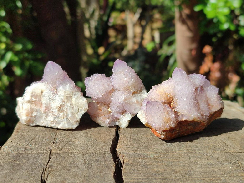 Natural Spirit Amethyst and Spirit Ametrine Clusters and Crystals x 12 From Boekenhouthoek, South Africa - Toprock Gemstones and Minerals 