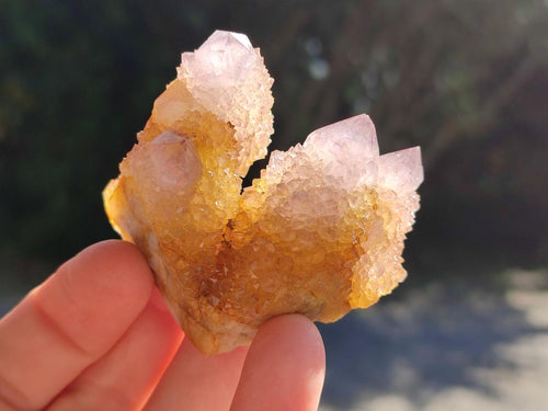 Natural Spirit Amethyst and Spirit Ametrine Clusters and Crystals x 12 From Boekenhouthoek, South Africa - Toprock Gemstones and Minerals 