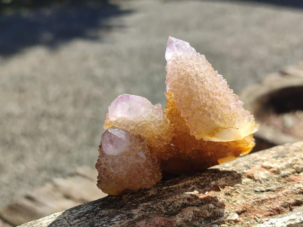 Natural Spirit Amethyst and Spirit Ametrine Clusters and Crystals x 12 From Boekenhouthoek, South Africa - Toprock Gemstones and Minerals 