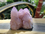 Natural Spirit Amethyst and Spirit Ametrine Clusters and Crystals x 12 From Boekenhouthoek, South Africa - Toprock Gemstones and Minerals 