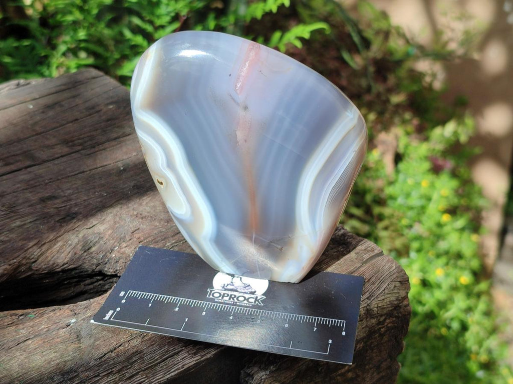 Polished Banded Agate Standing Display Pieces x 6 From Madagascar - Toprock Gemstones and Minerals 
