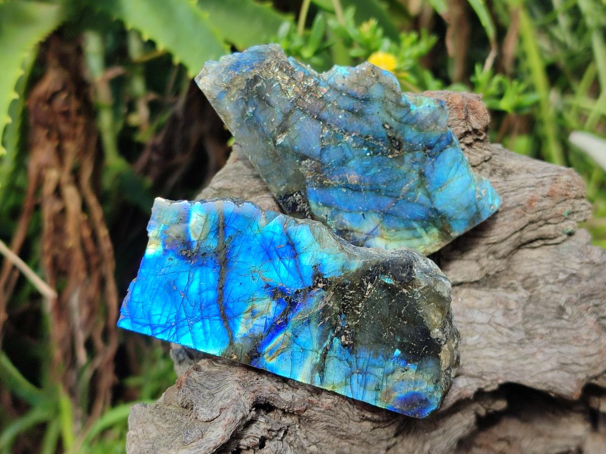 Polished One Side Labradorite Slices x 12 From Madagascar - Toprock Gemstones and Minerals 