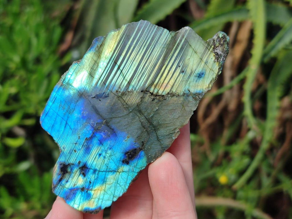 Polished One Side Labradorite Slices x 12 From Madagascar - Toprock Gemstones and Minerals 