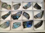 Polished One Side Labradorite Slices x 12 From Madagascar - Toprock Gemstones and Minerals 