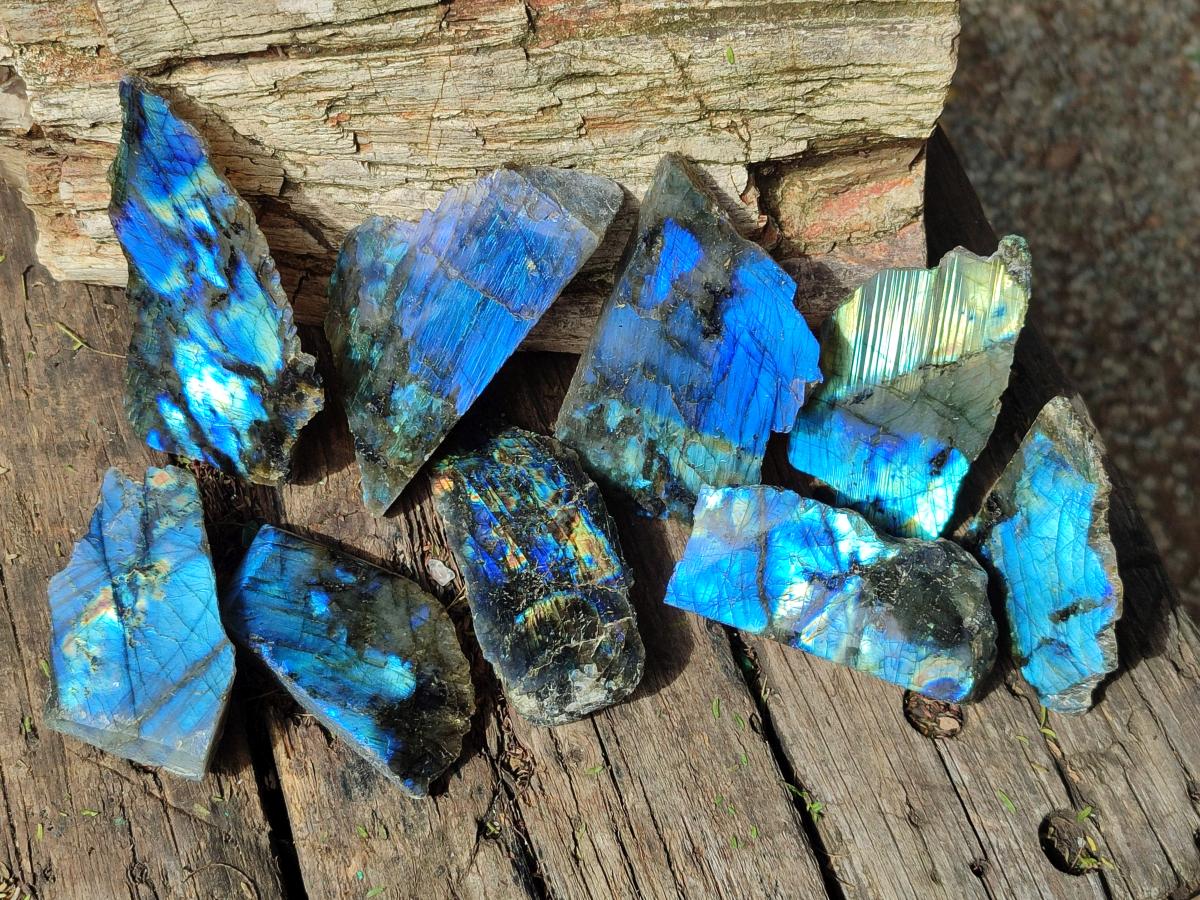 Polished One Side Labradorite Slices x 12 From Madagascar - Toprock Gemstones and Minerals 