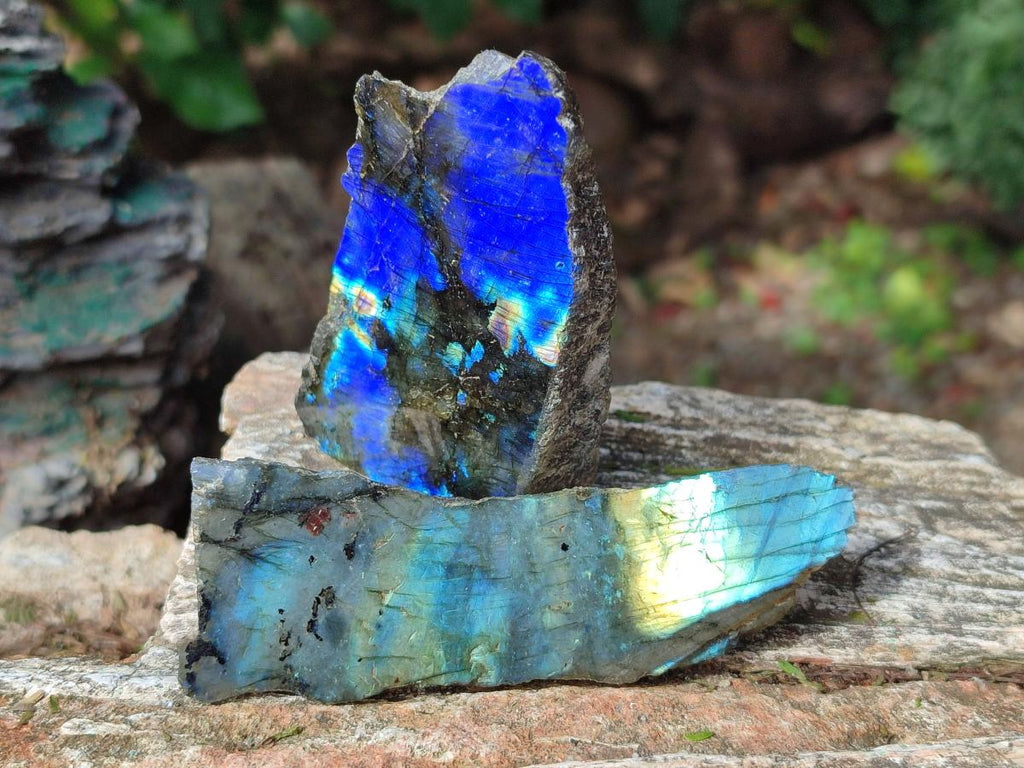 Polished One Side Labradorite Slices x 12 From Madagascar - Toprock Gemstones and Minerals 