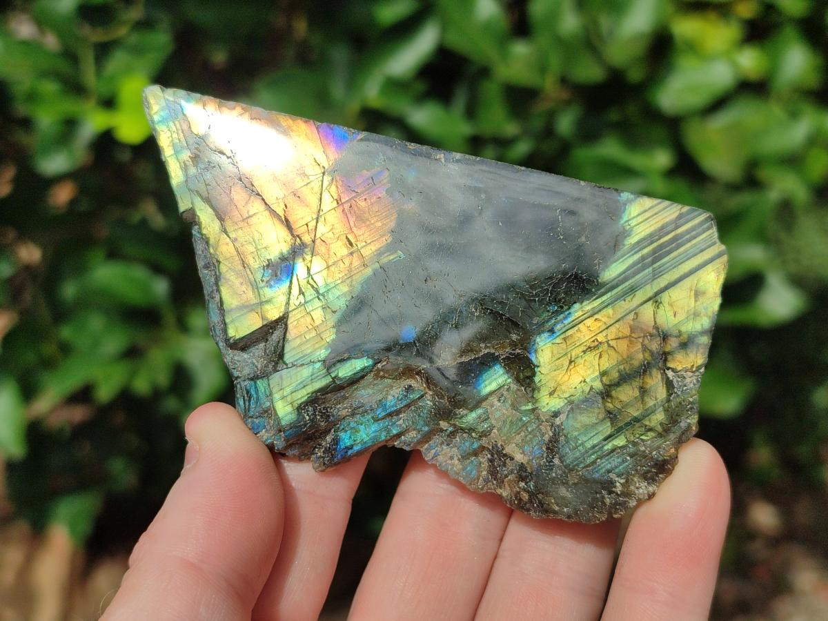 Polished One Side Labradorite Slices x 12 From Madagascar - Toprock Gemstones and Minerals 