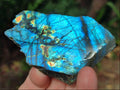 Polished One Side Labradorite Slices x 12 From Madagascar - Toprock Gemstones and Minerals 
