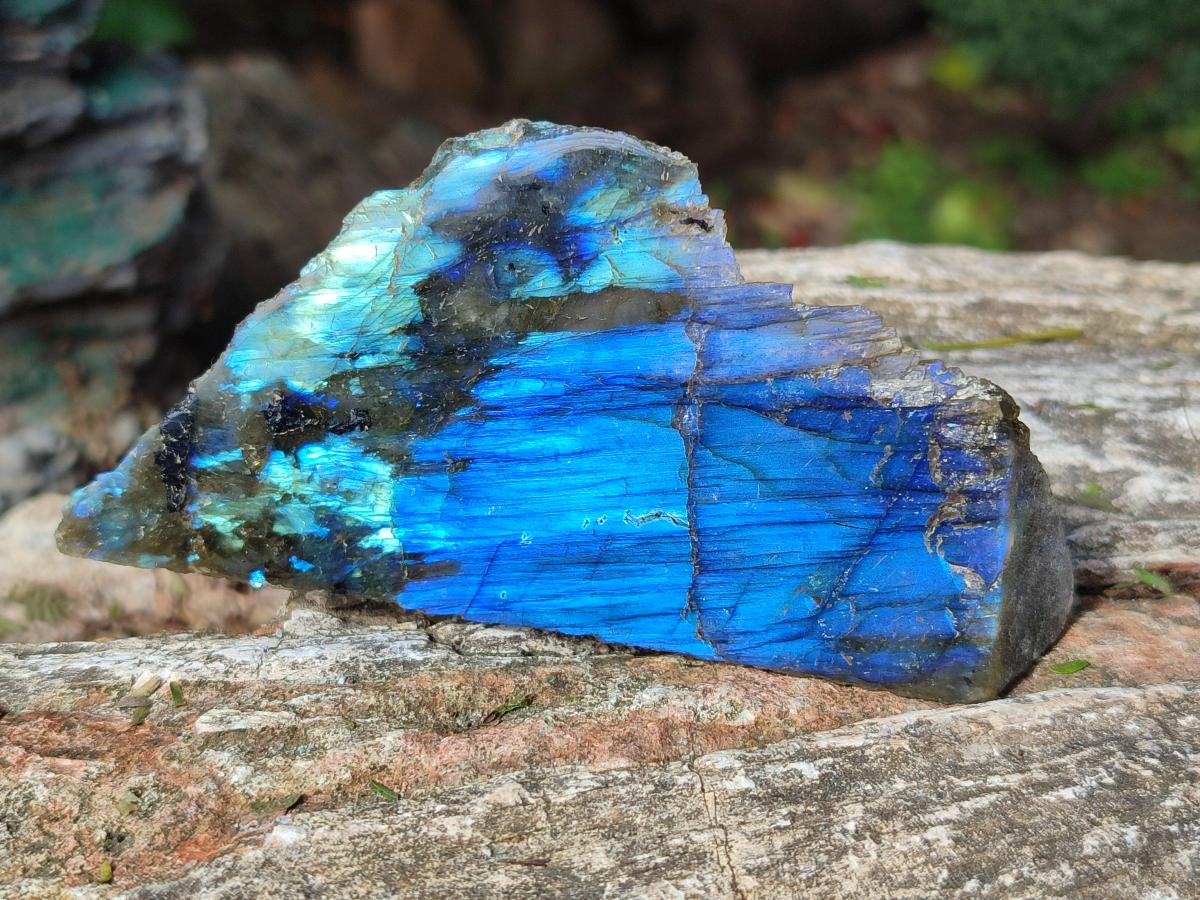 Polished One Side Labradorite Slices x 12 From Madagascar - Toprock Gemstones and Minerals 