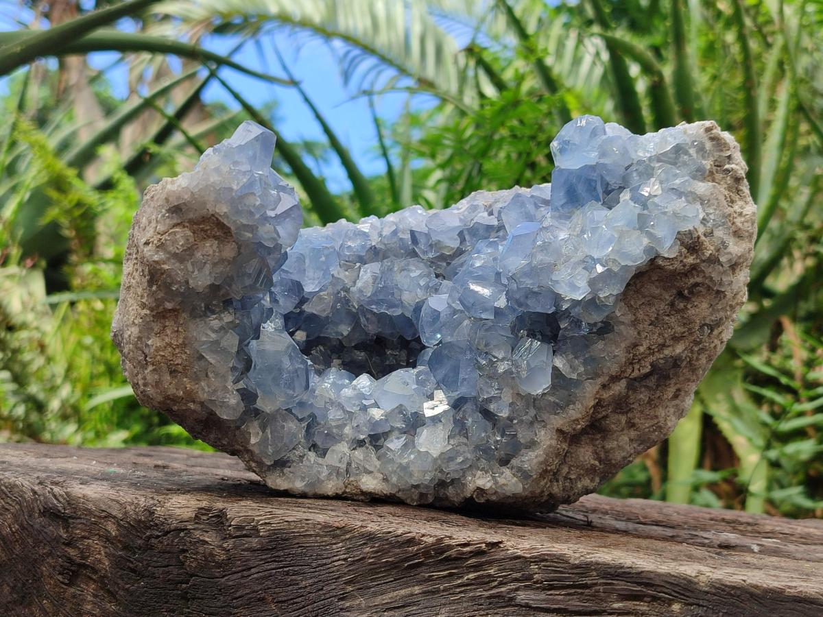 Natural Large Blue Celestite Geode Specimen x 1 From Sakoany, Madagascar - Toprock Gemstones and Minerals 