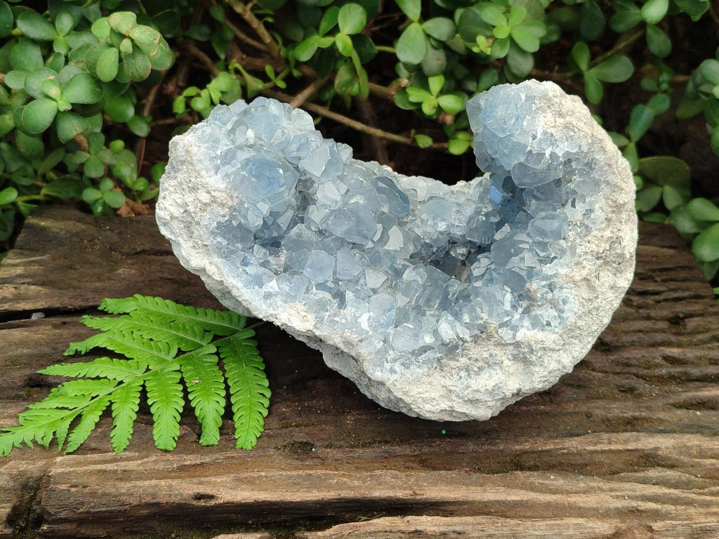 Natural Large Blue Celestite Geode Specimen x 1 From Sakoany, Madagascar - Toprock Gemstones and Minerals 