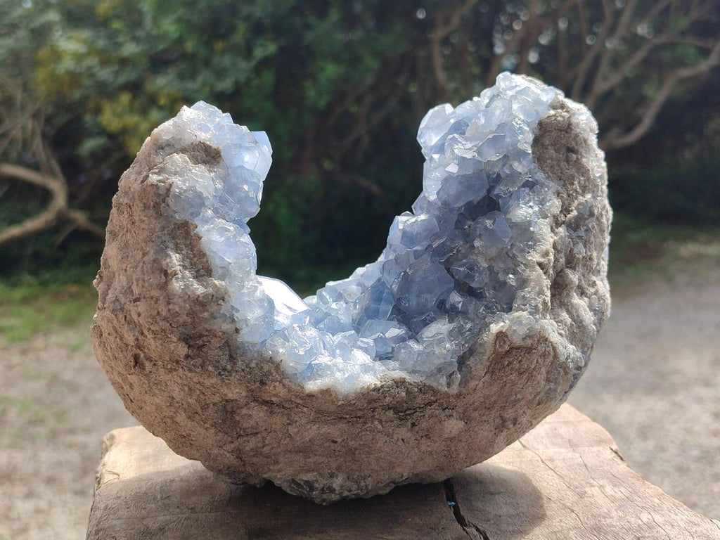 Natural Large Blue Celestite Geode Specimen x 1 From Sakoany, Madagascar - Toprock Gemstones and Minerals 